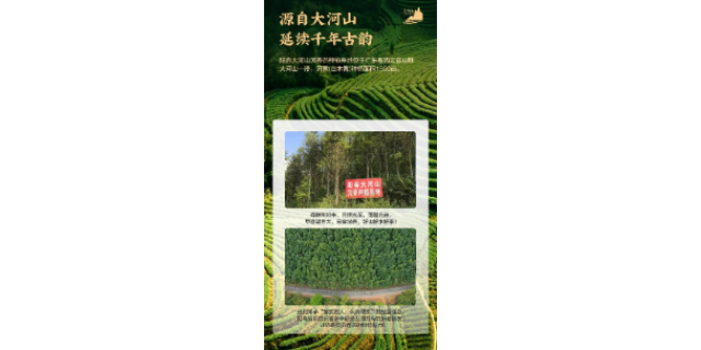 肇庆野生沉香茶产地直销,沉香茶